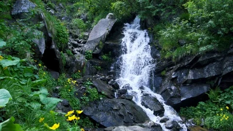 Waterfall river stream flowing among Green stony mountain flora Stock Footage 94884916