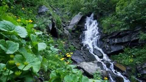 Waterfall river stream flowing among Green stony mountain flora Stock Footage 94884969
