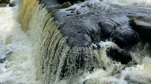 Waterfall from river in wild. Mountain river with a waterfall and stones Video stock 218659417