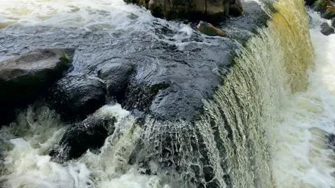 Waterfall from river in wild. Mountain river with a waterfall and stones Stock Footage 218662642