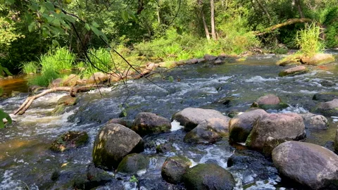 Waterfall from river in wild. Mountain river with a waterfall and stones 動画素材 218666344