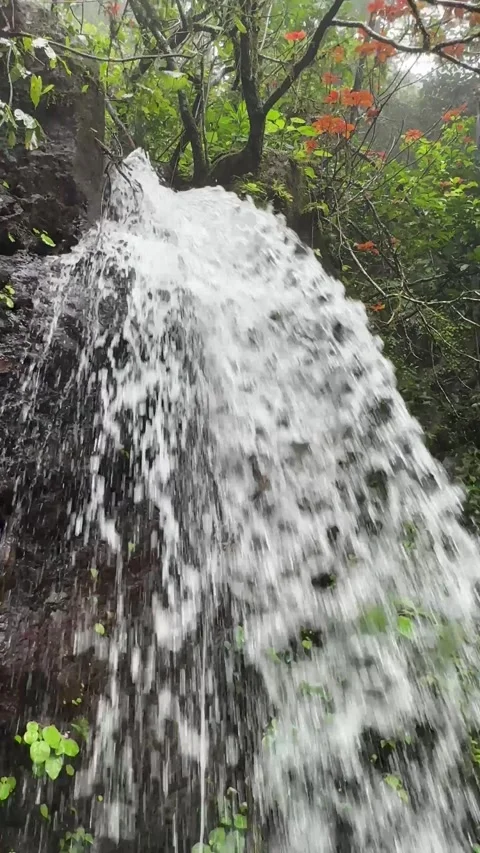 Waterfall on the roads of western ghats during monsoon season 스톡 동영상 313529098