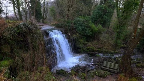 Waterfall at Roche Abbey Stock Footage 321474636