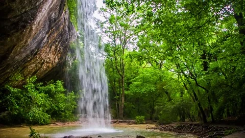 Waterfall from a rock in a deep forest Video stock 85908674