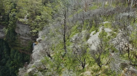 Waterfall in the rock Vidéo 42484146