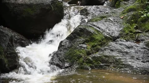 Waterfall with rock foreground, Nature background Vidéo 291242372