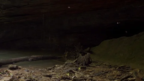 Waterfall in rock Pan left Medium Wide from creek Stock Footage 95501099