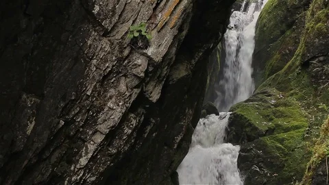 Waterfall in the rocks, overgrown with moss, close-up Stock Footage 80435083