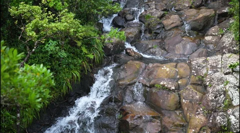 Waterfall in the rocks in slow motion. Stock Footage 304111411