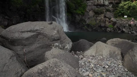 Waterfall in the rocky mountains, waterfall in the forest Video stock 310345906