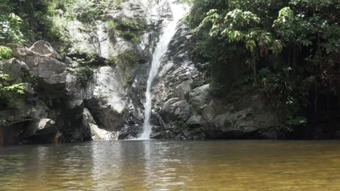 Waterfall running down on a rock in the jungle Video stock 231755564