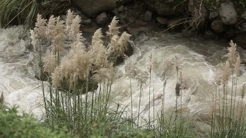 Waterfall runs among stones, splashes water scatter from powerful stream Vídeo Stock 235556341