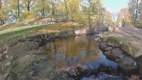 Waterfall runs down and creates tranquil lake in autumn park Stock Footage 146569696