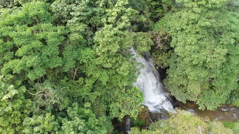 Waterfall Rushing Out From Dense Jungle Aerial Drone Video Video stock 124352271