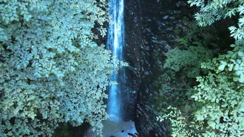 Waterfall scene aerial view Video stock 240781454