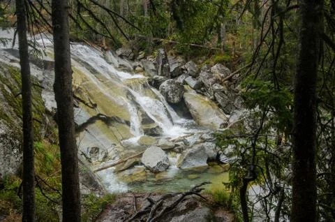 Waterfall scene covered with pine trees - in the mountains - Europe, High Tatras Stock Photos