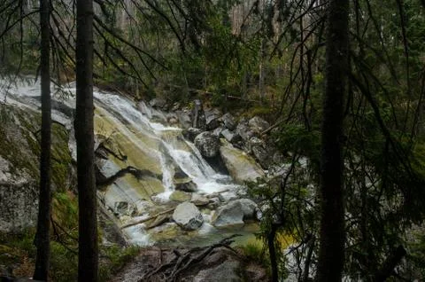 Waterfall scene covered with pine trees - in the mountains - Europe, High Tatras Stock Photos