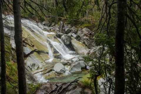 Waterfall scene covered with pine trees - in the mountains - Europe, High Tatras Stock Photos