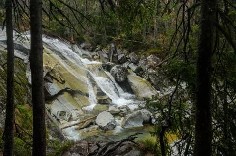 Waterfall scene covered with pine trees - in the mountains - Europe, High Tatras Stock Photos