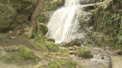 Waterfall scene Stock Footage 798555
