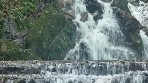 Waterfall scene in the forest Stock Footage 101845505