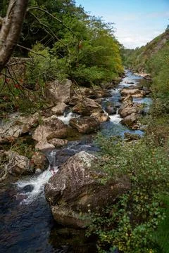 Waterfall scene Stockfoto's