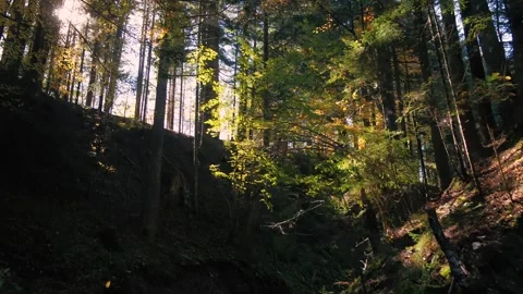 Waterfall scenery Stock Footage 255142191