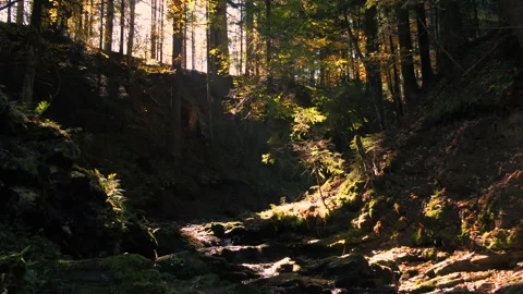 Waterfall scenery Video stock 255186080