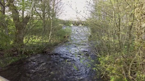 Waterfall in Scotland Stock Footage 246630278