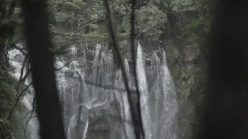 Waterfall seen from behind trees Stock Footage 85813347