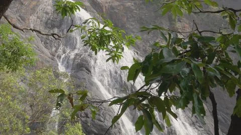 Waterfall seen through trees in the background Fotos Stock