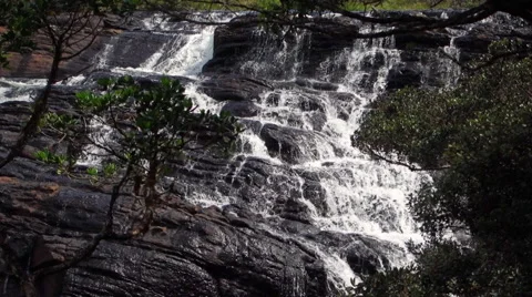 Waterfall seen trough trees Video stock 53223145