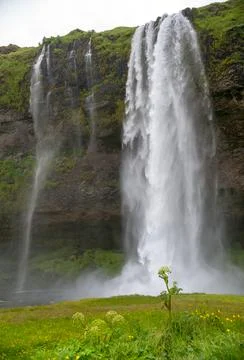 Waterfall Seljalandsfoss in the south coast of Iceland. Stock Photos