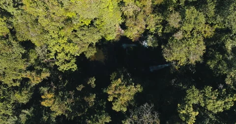 Waterfall in Serras Gerais Stock Footage 162521934