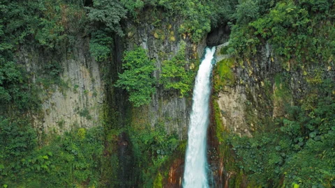 Waterfall shoots from forest cliff surrounded by dense green foliage in Costa Stock-Footage 342365129