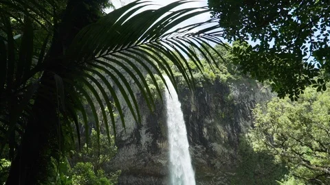 Waterfall shot through beautiful native trees Video stock 105256046