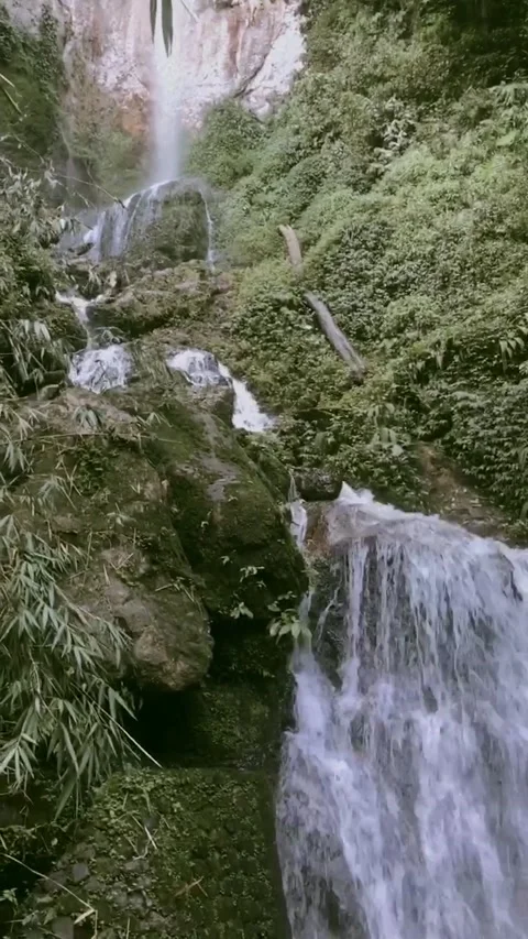 Waterfall sialang 스톡 동영상 209809527