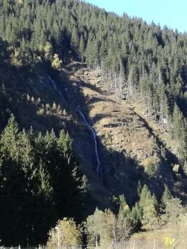 WATERFALL side by side needletrees MountainForest Stock Photos
