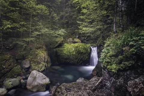 Waterfall with silky water between pine trees in a lush forest in the Aran va Stock Photos