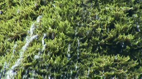 Waterfall ''Silver jet'' Stock Footage 526777