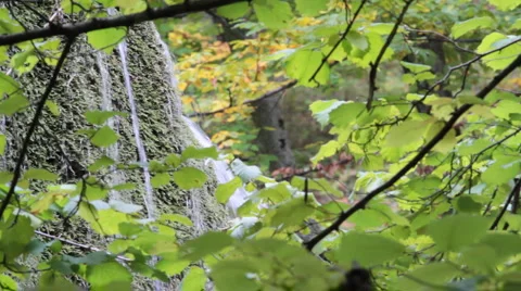 Waterfall silver stream in Crimea. III. Stock Footage 940982