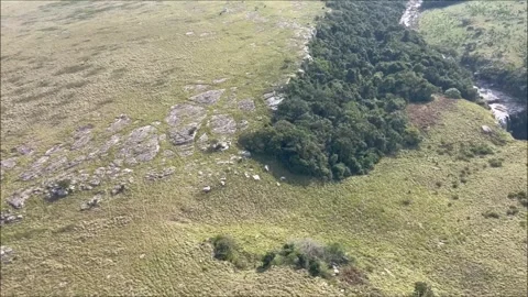 Waterfall Single HD 動画素材 284316549