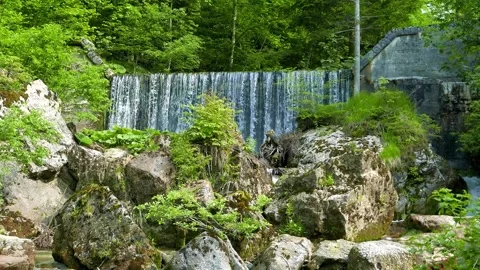 Waterfall in Slovenia Stock Footage 246856324
