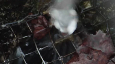 Waterfall slow motion and close up of a fountain. Water drops, extremely close u Stock Footage 136843360