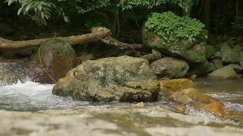 Waterfall slow motion change focus in rain forest Stock Footage 77005817