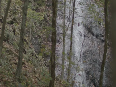 Waterfall slow motion in fall tree forground pass Stock Footage 81141741