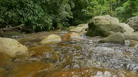 Waterfall in slow motion Video stock 77005044