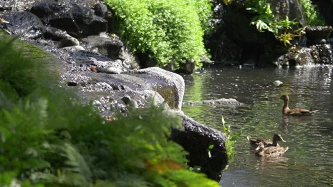 Waterfall in slow motion Stock Footage 92936943