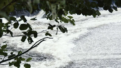 Waterfall in slow motion Video stock 128030600