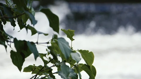 Waterfall in slow motion 動画素材 128032890